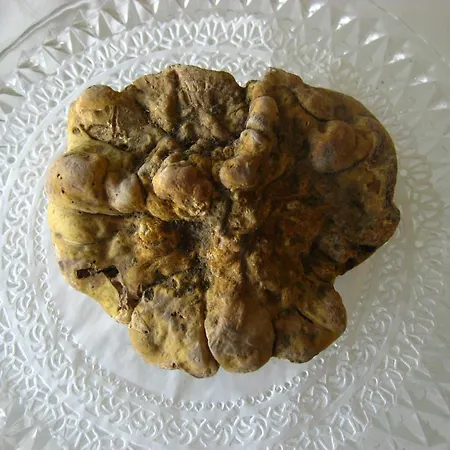 Casa Bardacchino Couette-café