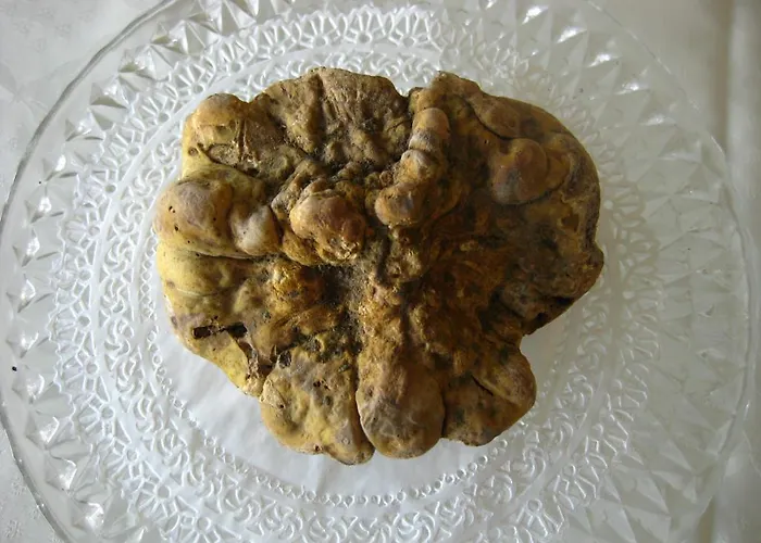 Casa Bardacchino Bed & Breakfast